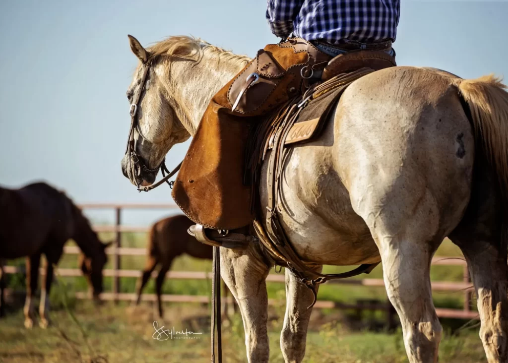 man on a horse