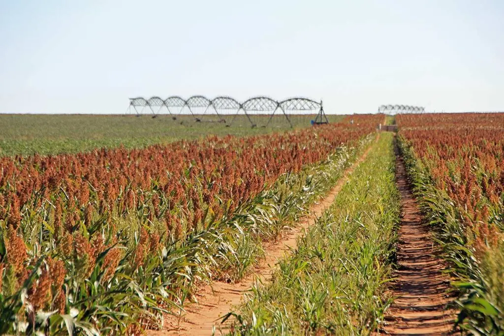 a farm field