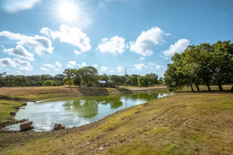 a small pond