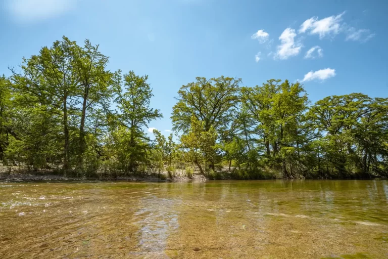 a river