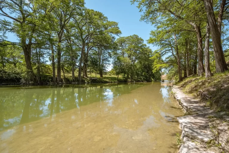 a riverbank