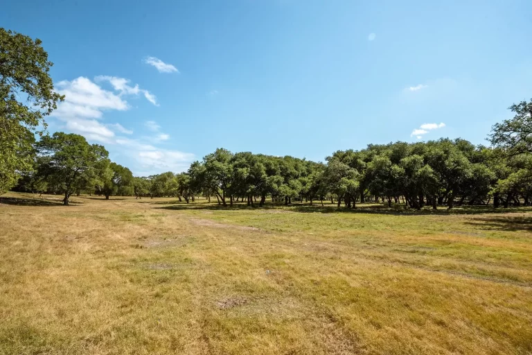 an open feild