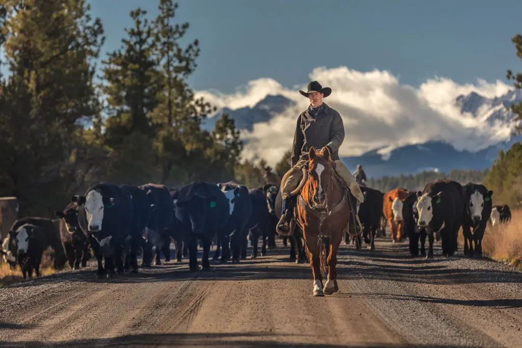 History of ranching in Colorado