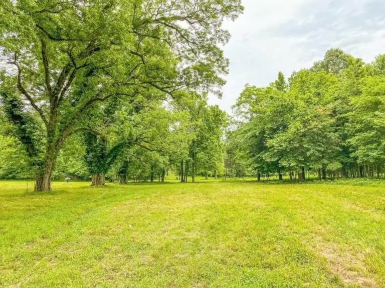 641 Acres of Hunting Land just North of Natchez