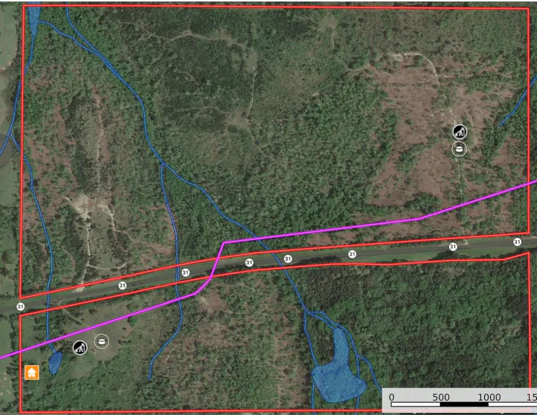 East Texas Large Land Tract for Sale Smith County Near Tyler