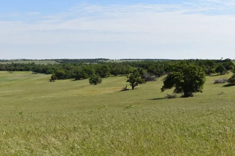 Caddo County