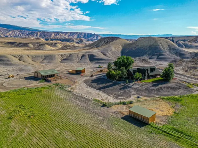 Horse Ranch & Luxury Log Home For Sale in Delta County