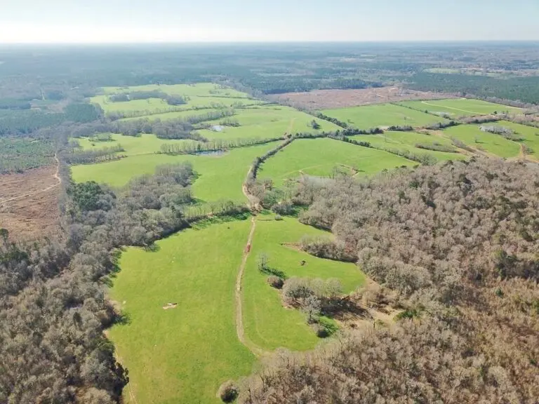 Amite County