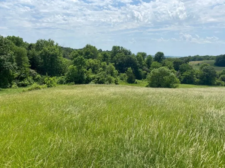 Benton County