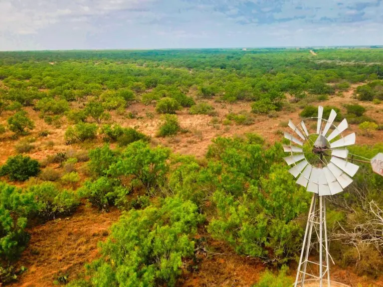 Trophy Hunting & Recreational Ranch For Sale in Dimmit County