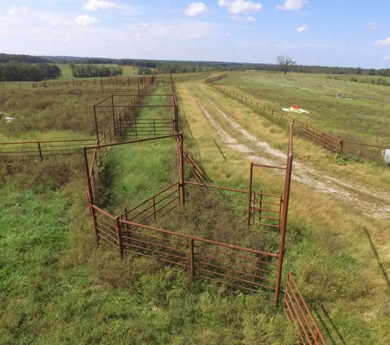 Cattle Ranch & Hunting Land For Sale in Benton County