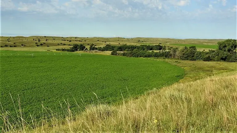 Working Cattle Ranch For Sale in Central NE Sandhills