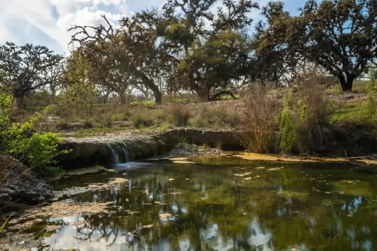 Exclusive Live Water Cattle Ranch For Sale in Northern MT