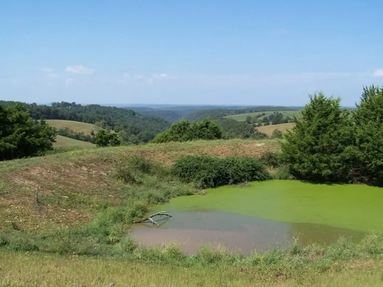 Searcy Co AR Cattle Ranch Adjoining Buffalo National Park