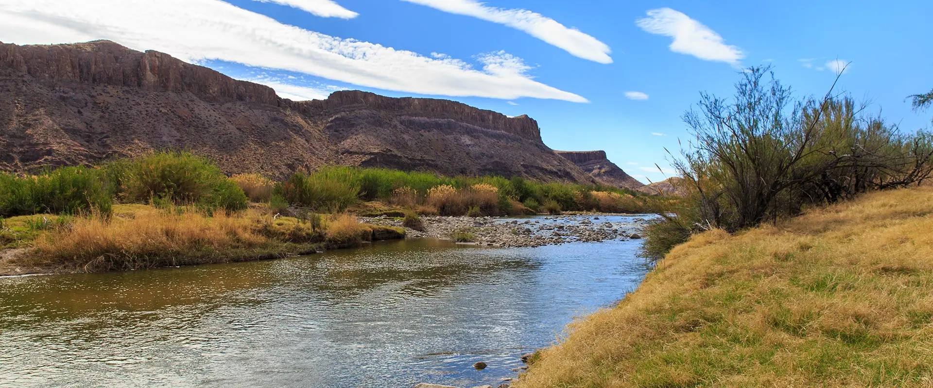 A beautiful river in nature