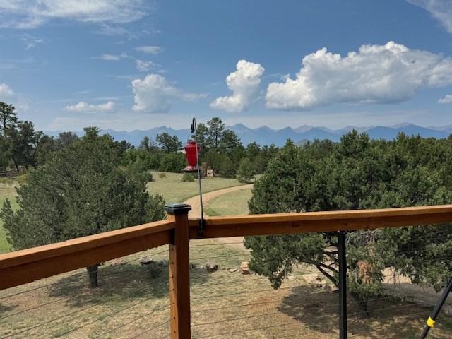 34_3b27a6f4-0650-4c9e-a7f9-f6bb14514fd7