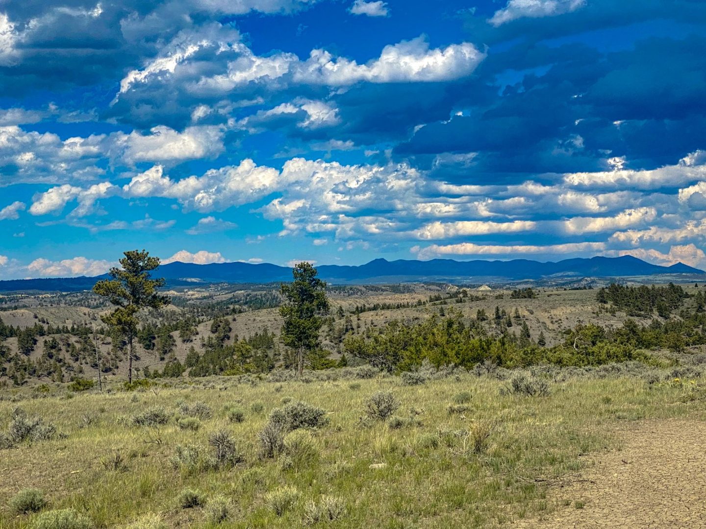 Serene 62,000Acre Schwenke Ranch in Phillips County, MT UCRP