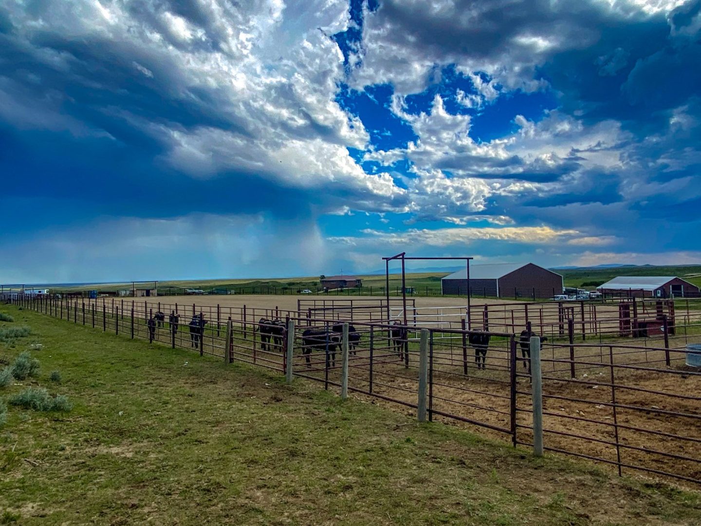 Serene 62,000Acre Schwenke Ranch in Phillips County, MT UCRP