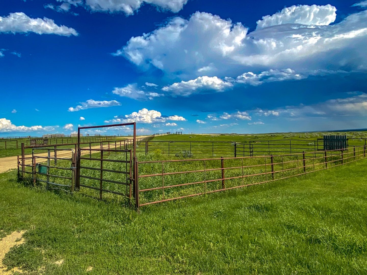 Serene 62,000Acre Schwenke Ranch in Phillips County, MT UCRP