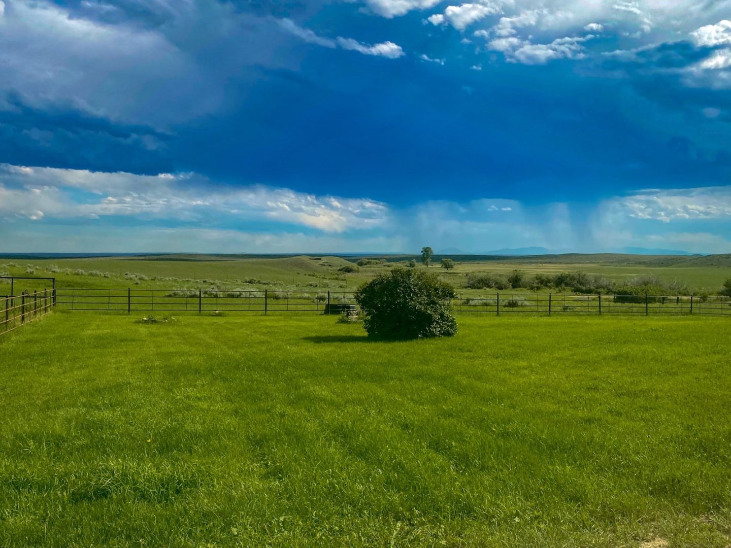 Serene 62,000Acre Schwenke Ranch in Phillips County, MT UCRP