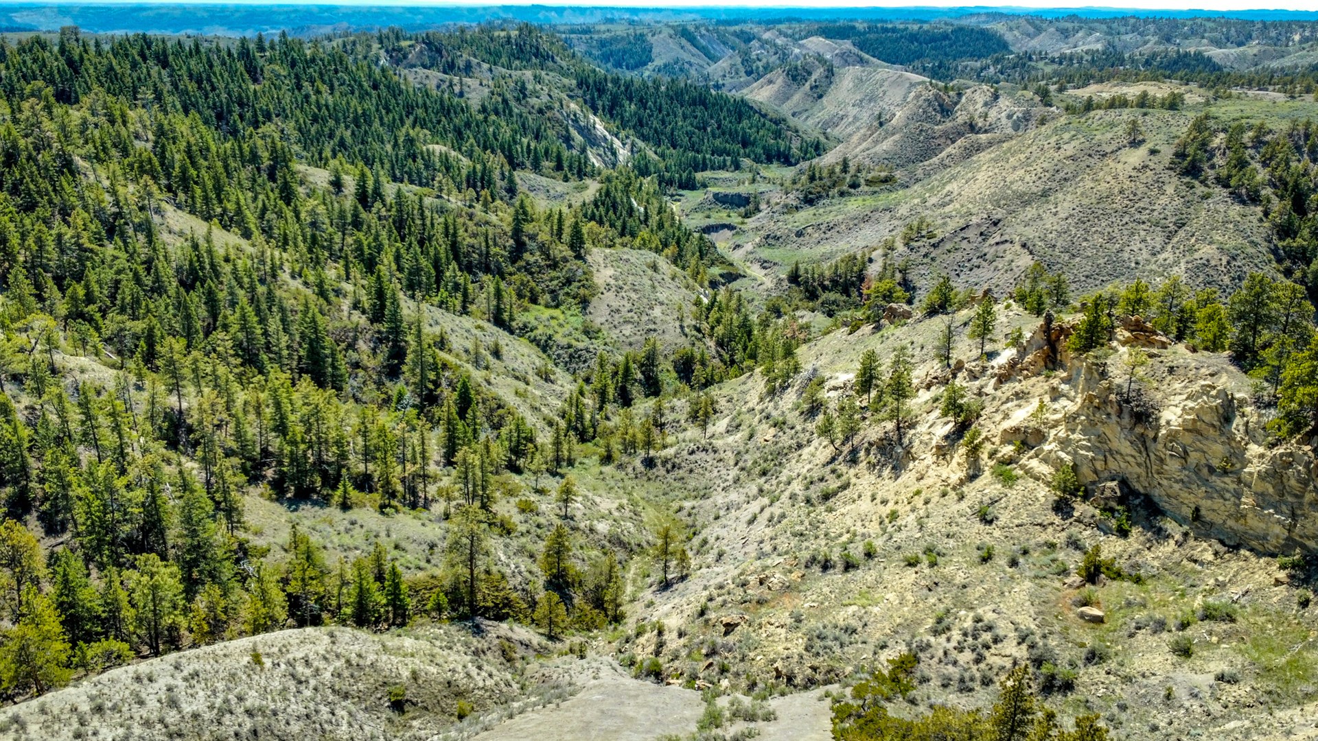 Serene 62,000Acre Schwenke Ranch in Phillips County, MT UCRP