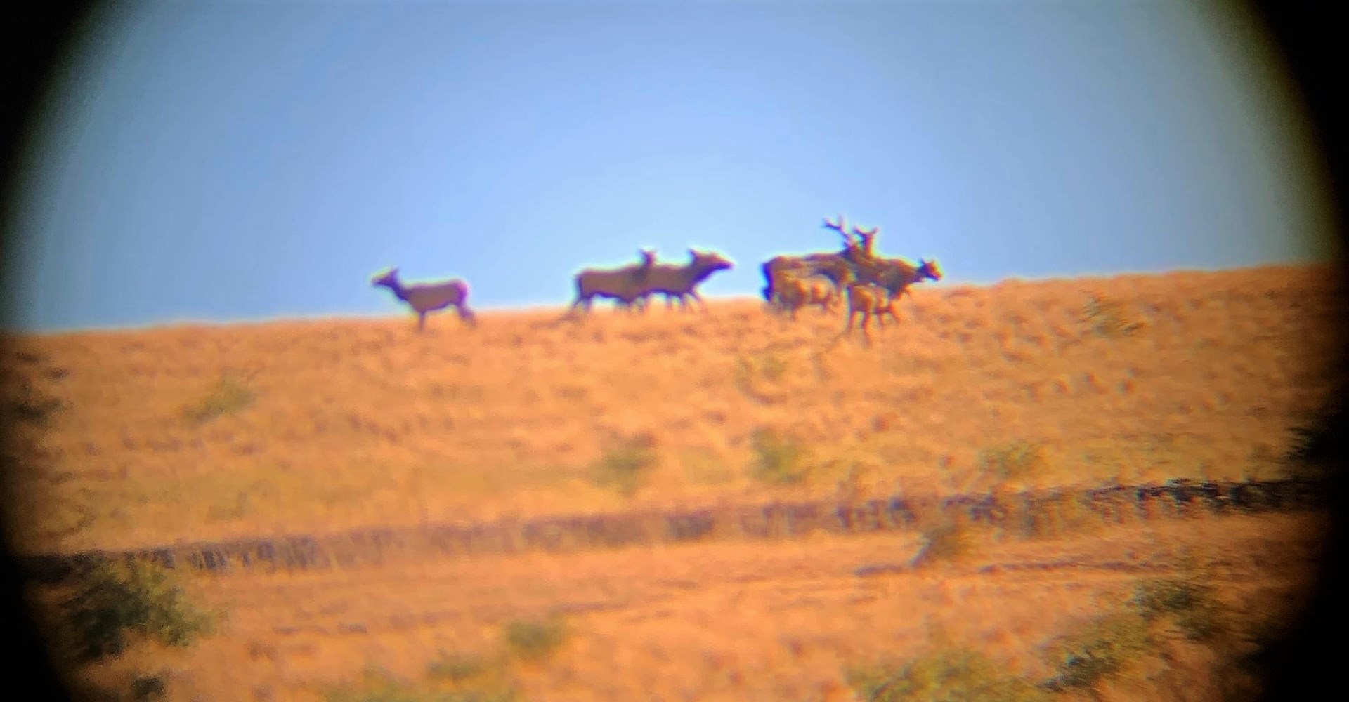 MC Ranch in Pilot Rock, Oregon UCRP
