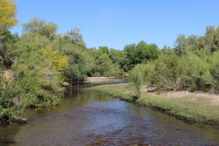 ranch in marana