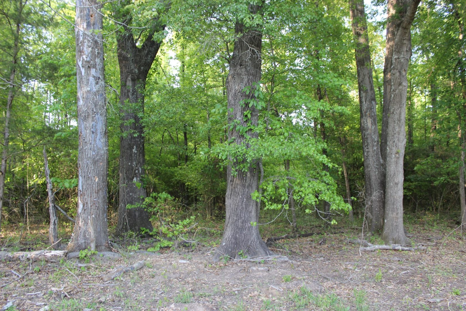 Riverfront Cattle Ranch in Sawyer, OK for Sale UCRP