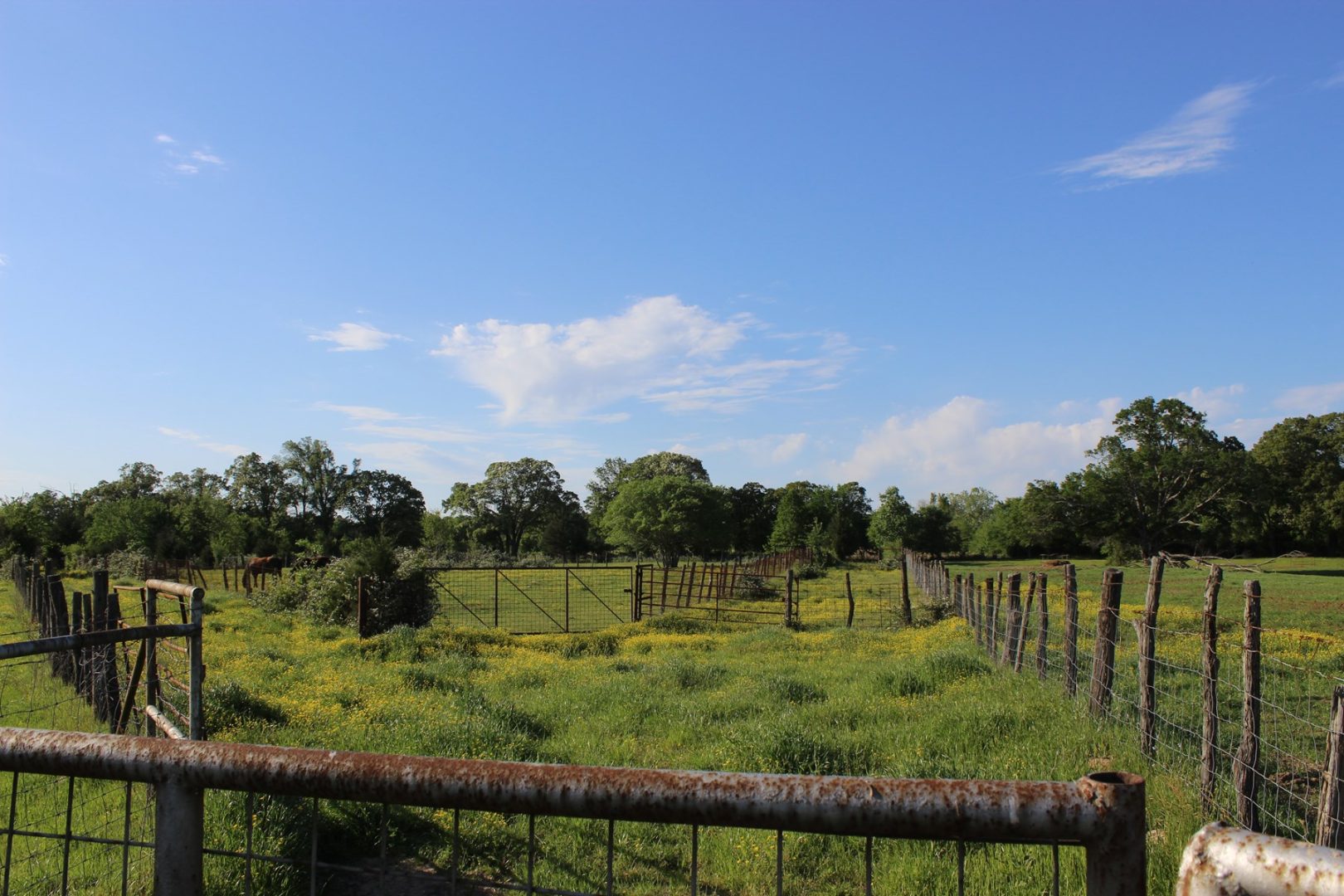 Riverfront Cattle Ranch in Sawyer, OK for Sale UCRP