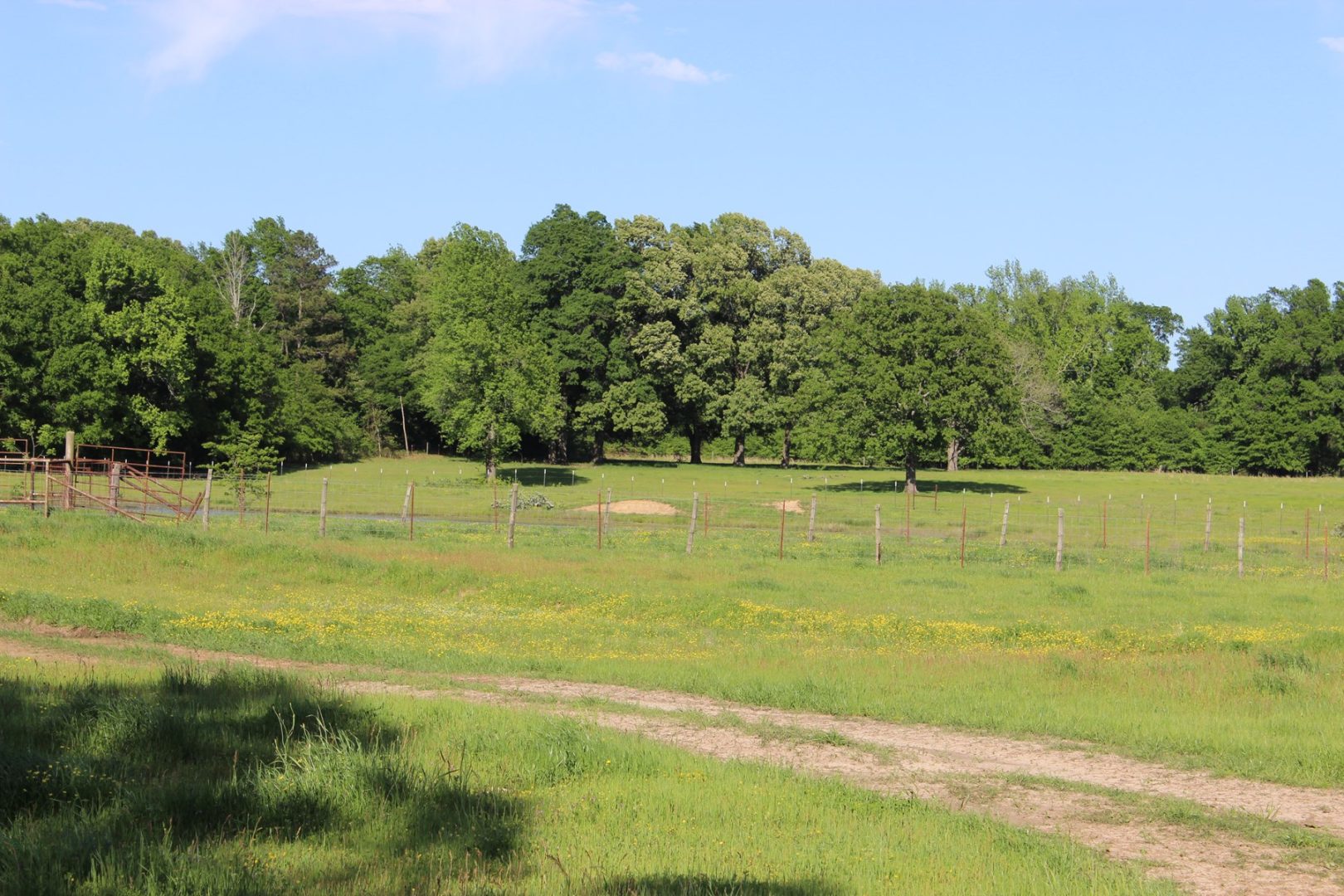 Riverfront Cattle Ranch in Sawyer, OK for Sale UCRP