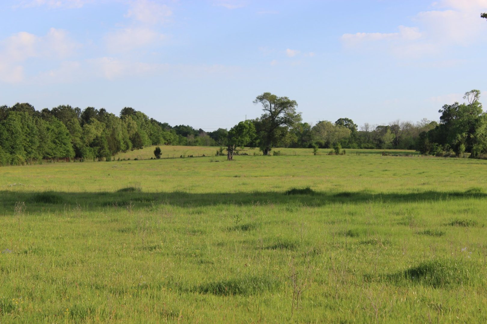 Riverfront Cattle Ranch in Sawyer, OK for Sale UCRP