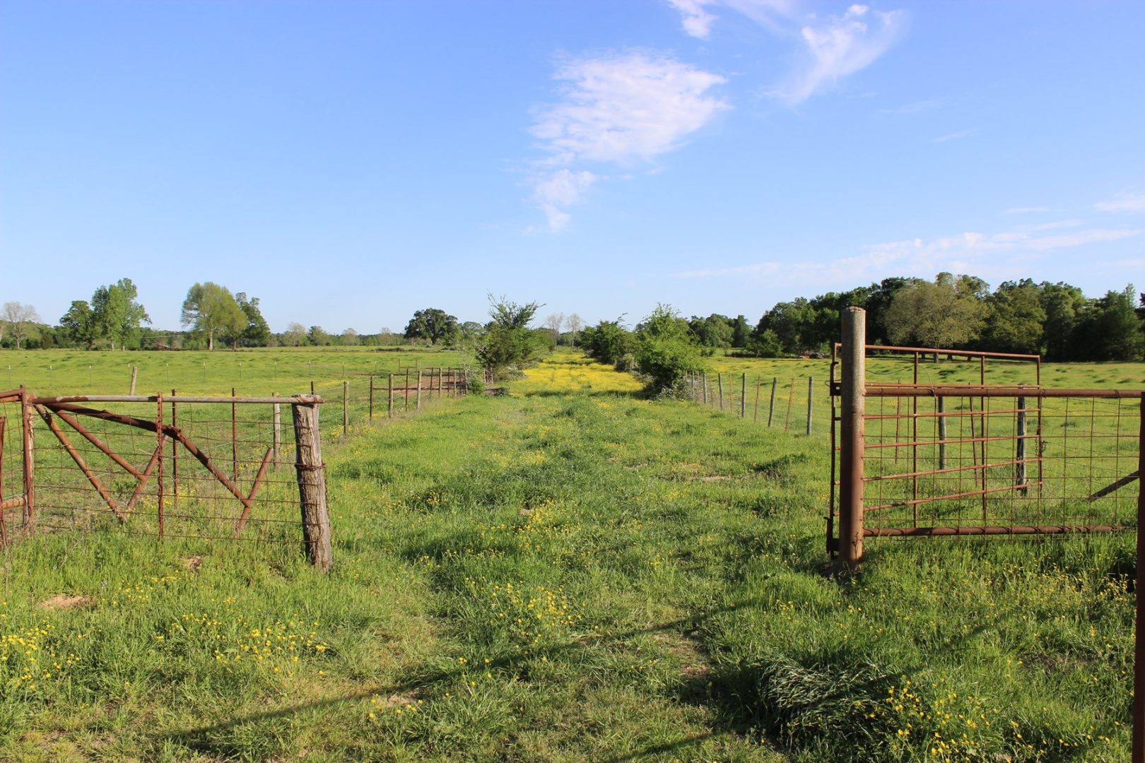Riverfront Cattle Ranch in Sawyer, OK for Sale UCRP