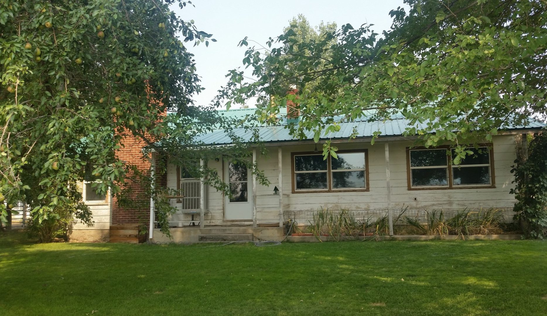 Cattle & Bison Ranch in Alturas, CA UCRP