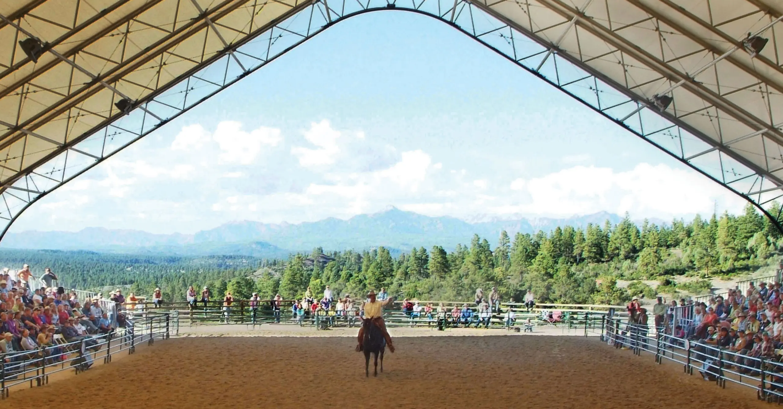 Pat Parelli teaching horse training seminars