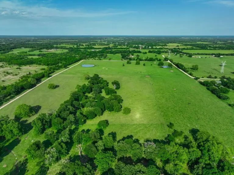 cattle ranch in lone oak
