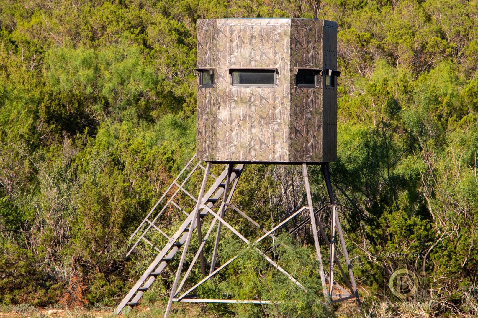 HighFenced Hunting Ranch in Robert Lee, TX for Sale Incredible 716