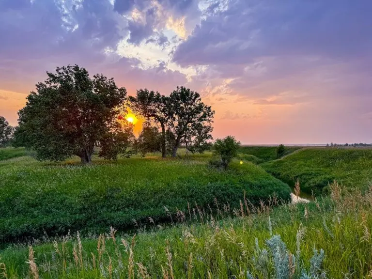 milk river ranch