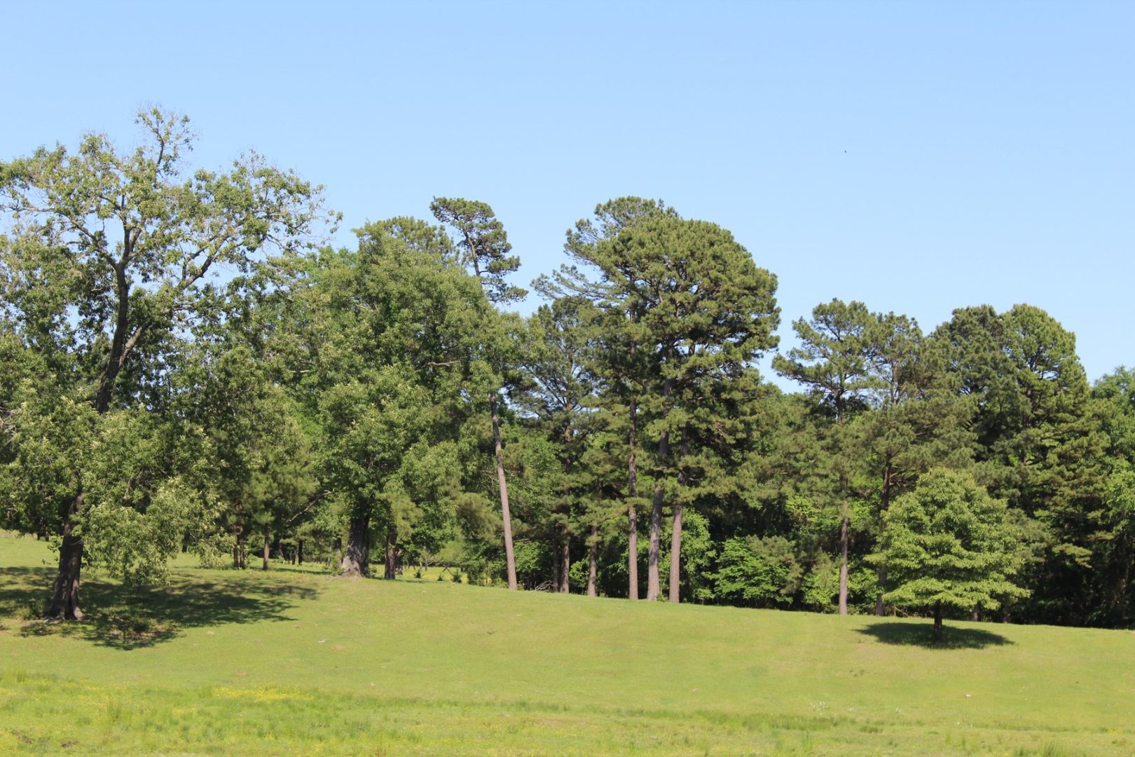 Beautiful RanchStyle Home in Annona, TX Overlooks 5Acre Lake UCRP