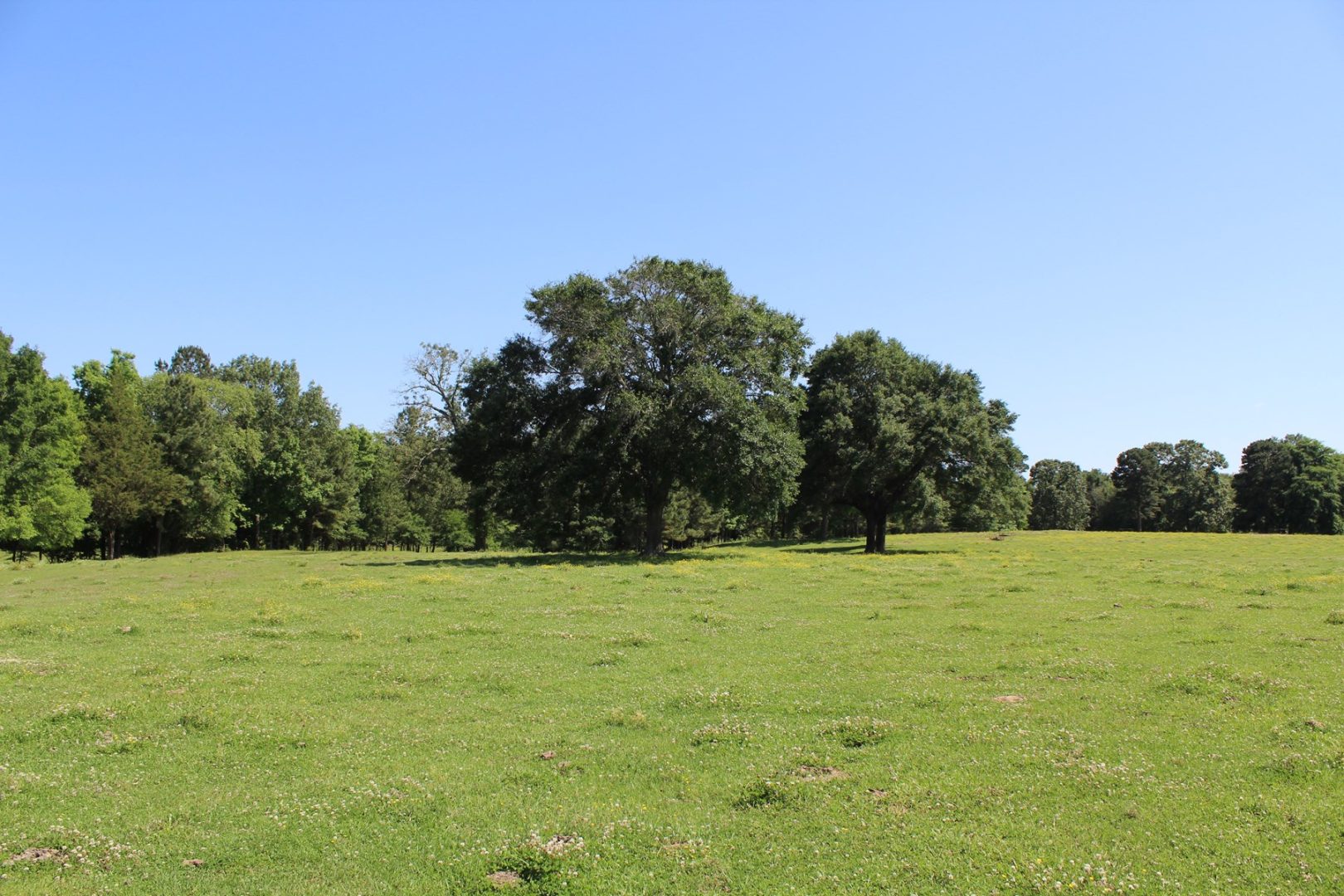 Beautiful RanchStyle Home in Annona, TX Overlooks 5Acre Lake UCRP