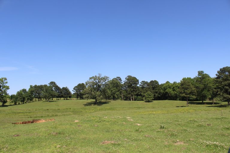 Beautiful RanchStyle Home in Annona, TX Overlooks 5Acre Lake UCRP