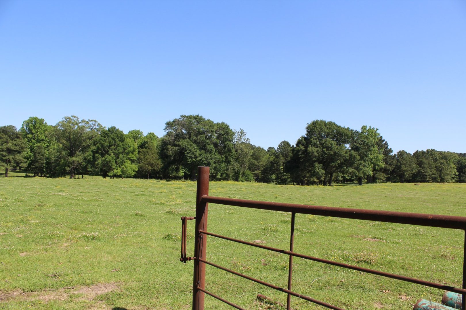 Beautiful RanchStyle Home in Annona, TX Overlooks 5Acre Lake UCRP