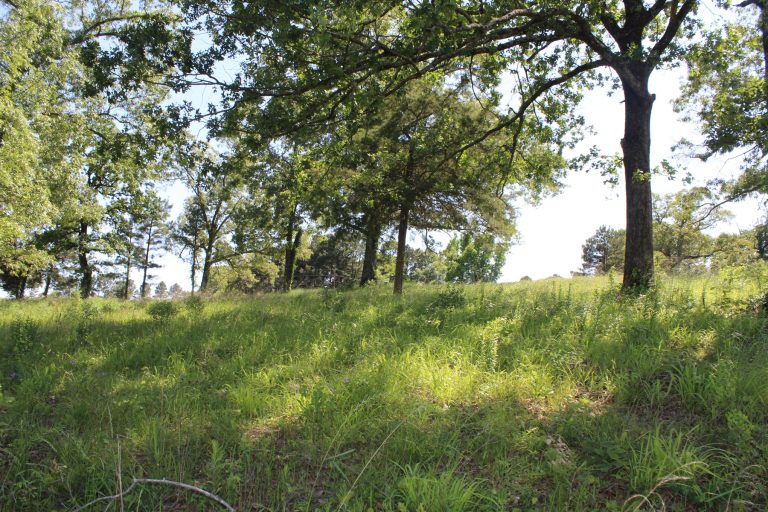 Beautiful RanchStyle Home in Annona, TX Overlooks 5Acre Lake UCRP