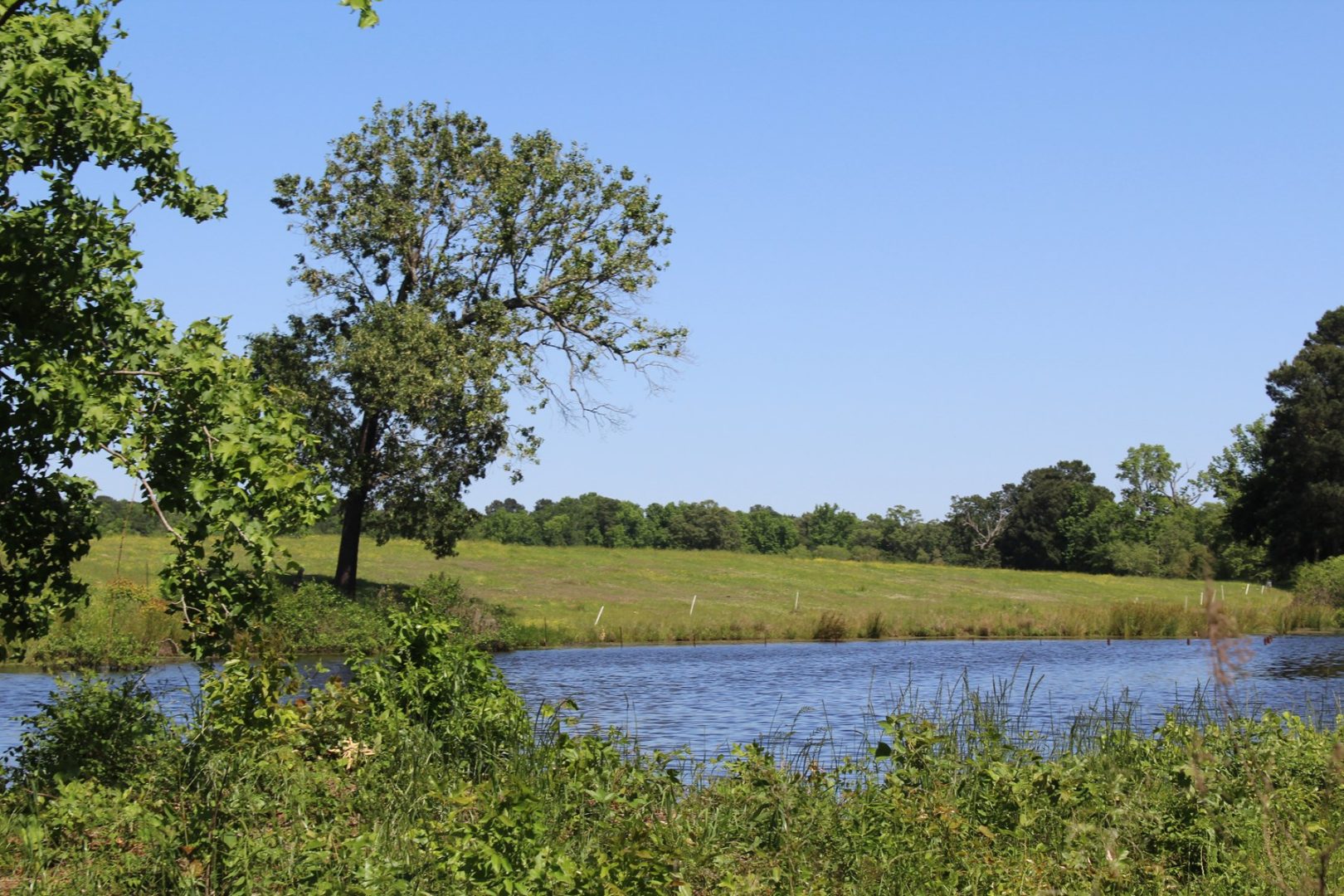 Beautiful RanchStyle Home in Annona, TX Overlooks 5Acre Lake UCRP