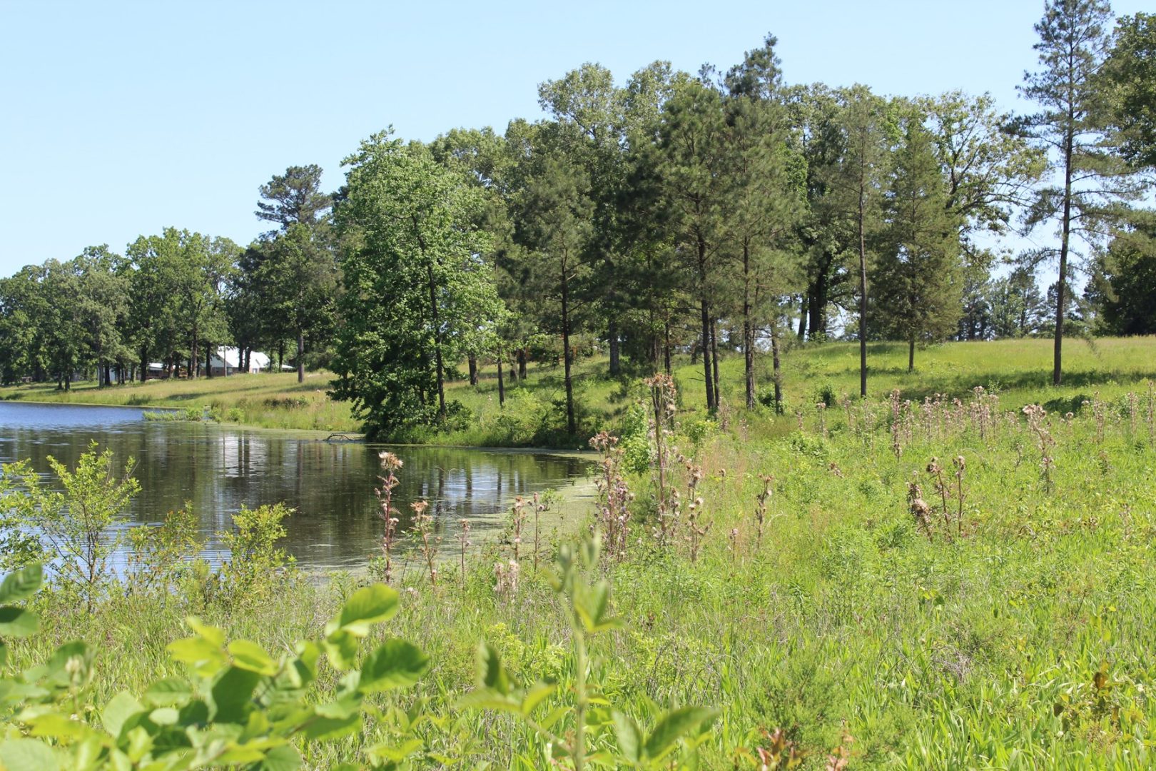 Beautiful RanchStyle Home in Annona, TX Overlooks 5Acre Lake UCRP