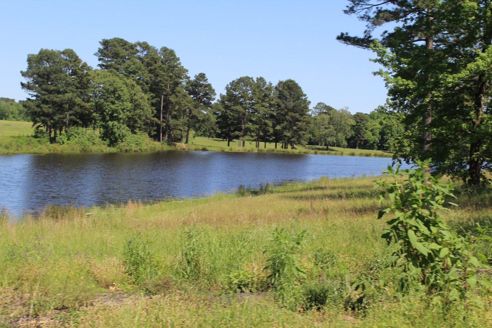 Beautiful RanchStyle Home in Annona, TX Overlooks 5Acre Lake UCRP