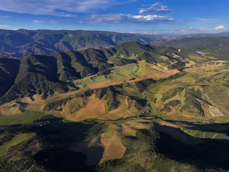 25