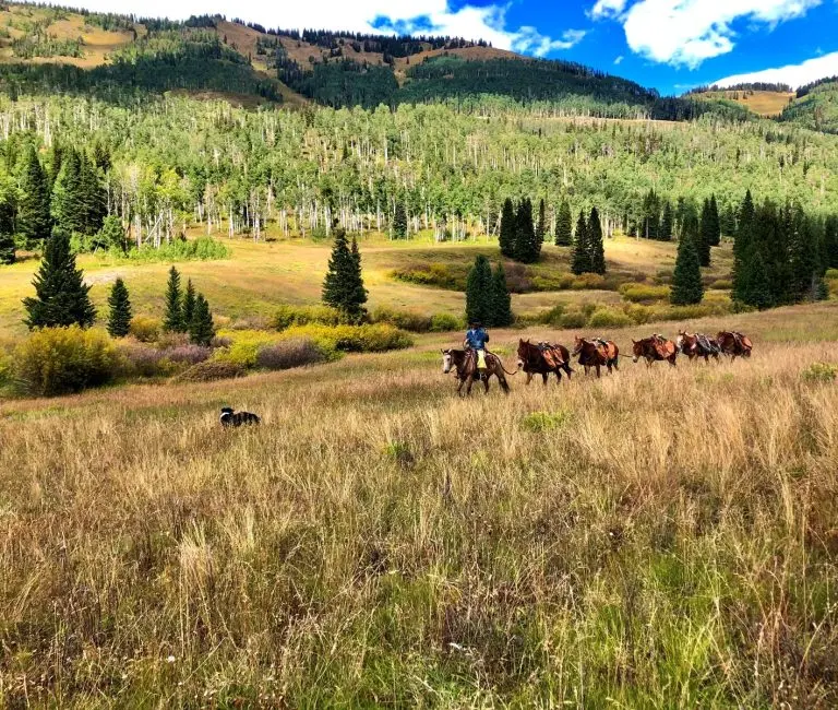 colorado outfitting business