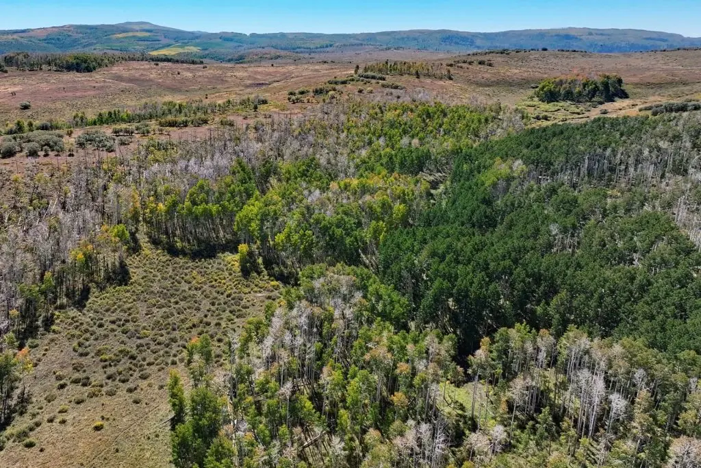 Uncompahgre Ranch in Colorado