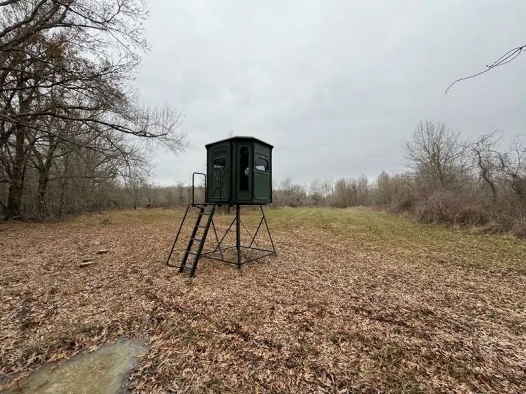 30