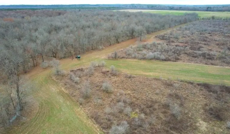 Ouachita River Ranch